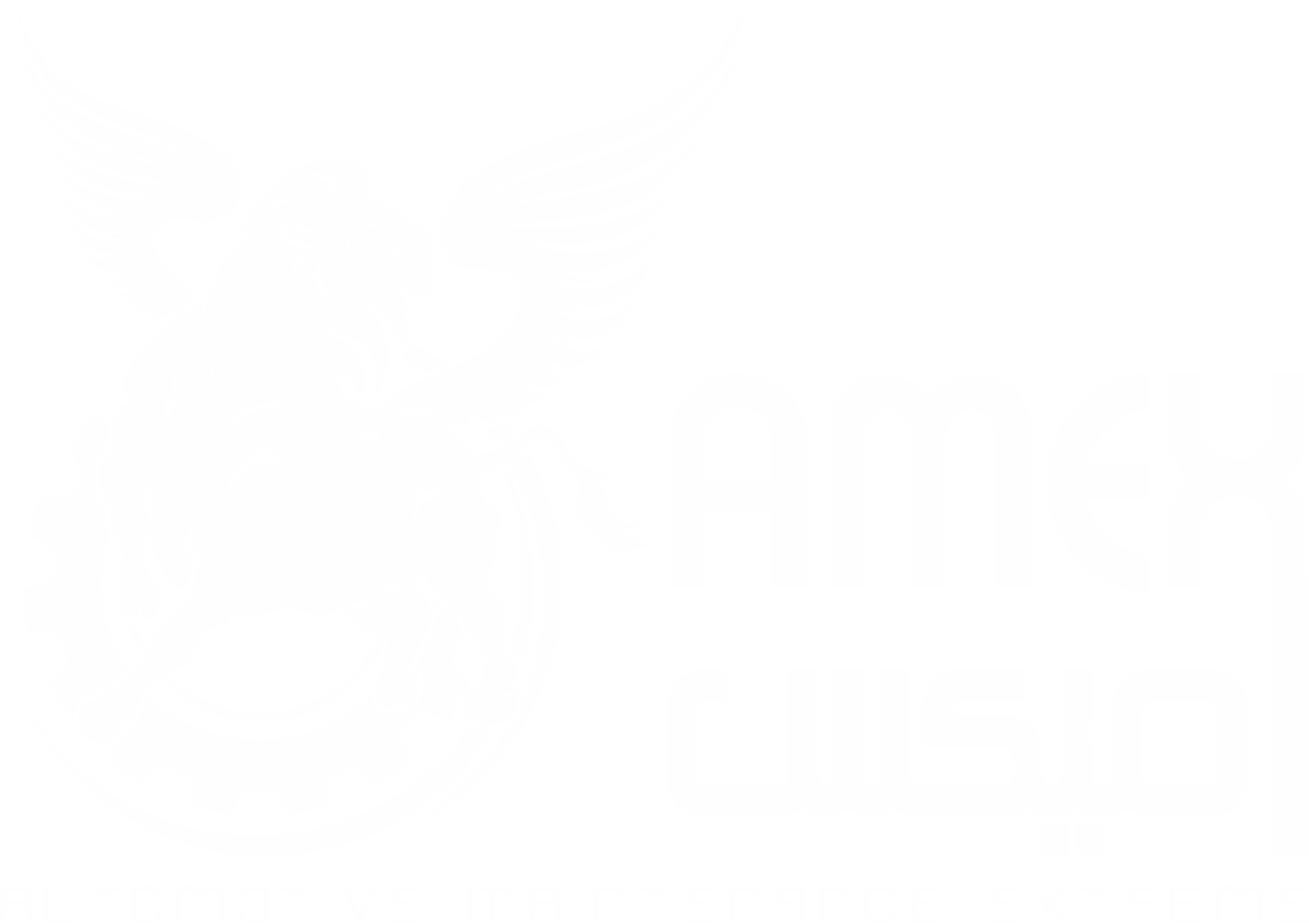 Amex Auto